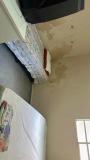 Bild des Orts