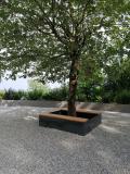 Location picture
