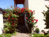 Afbeelding van de locatie