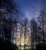 Bild des Orts