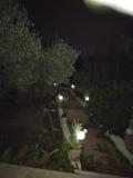 Location picture