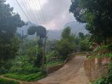 Location picture