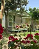 Location picture