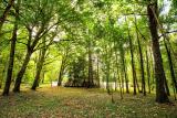 Afbeelding van de locatie