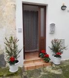 Immagine del luogo