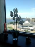 Afbeelding van de locatie