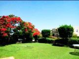 Location picture