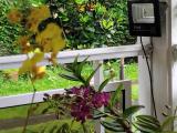 Afbeelding van de locatie