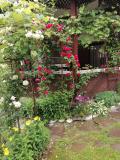 Afbeelding van de locatie