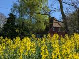 Afbeelding van de locatie