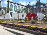 Afbeelding van de locatie