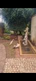 Bild des Orts