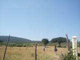 Imagen del lugar
