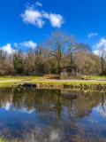 Afbeelding van de locatie