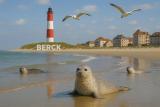 Bild des Orts