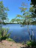 Afbeelding van de locatie