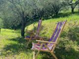 Immagine del luogo