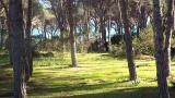 Location picture