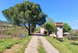 Afbeelding van de locatie