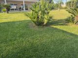Location picture