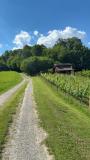 Bild des Orts