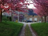 Location picture