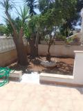 Location picture