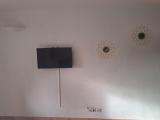 Bild des Orts