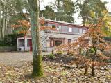 Bild des Orts