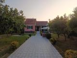 Location picture
