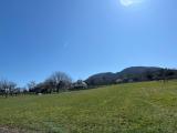 Location picture