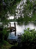 Location picture