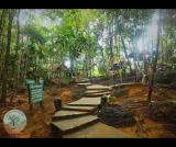 Location picture