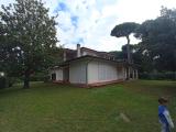 Immagine del luogo