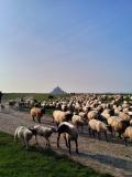 Afbeelding van de locatie