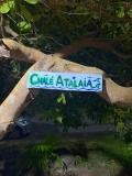 Immagine del luogo
