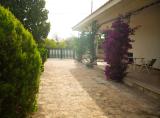 Location picture
