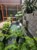 Afbeelding van de locatie