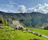 Bild des Orts