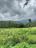 Location picture