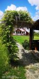 Bild des Orts