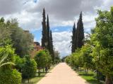 Location picture