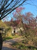 Afbeelding van de locatie
