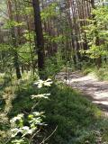Bild des Orts
