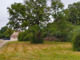 Location picture