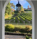 Location picture