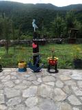 Location picture