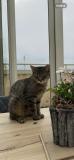Bild des Orts