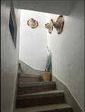 Immagine del luogo