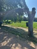 Afbeelding van de locatie